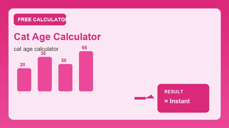 Cat Age Calculator — step-by-step calculator workflow and results (CalcHubly infographic)