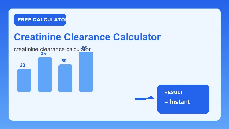 Creatinine Clearance Calculator — step-by-step calculator workflow and results (CalcHubly infographic)